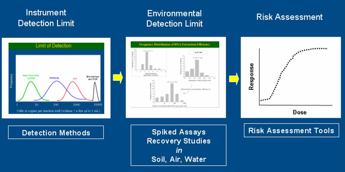 Anthrax Risk